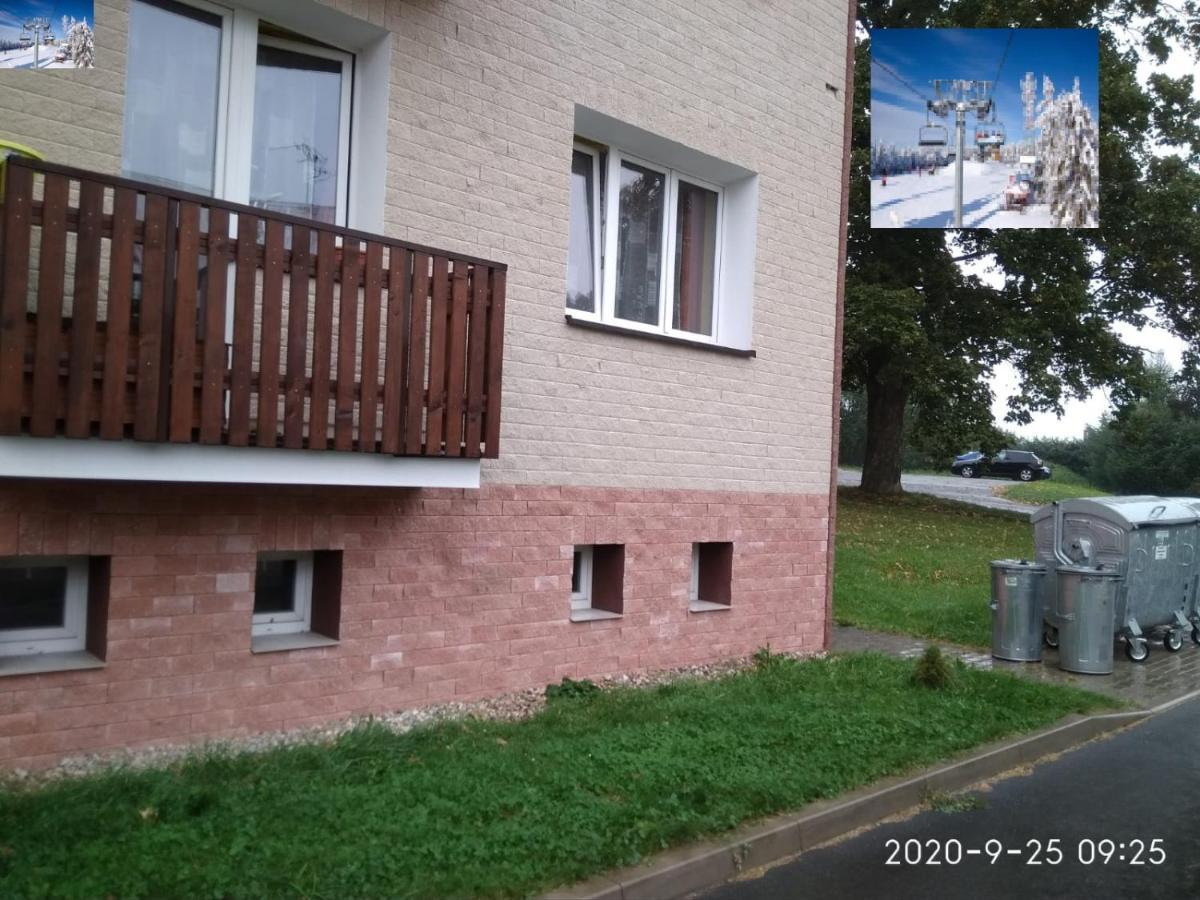 Plne Vybaveny 2+1Byt S Balkonem A Koji Pro Kola A Lyze. Rokytnice v Orlických Horách Exteriör bild