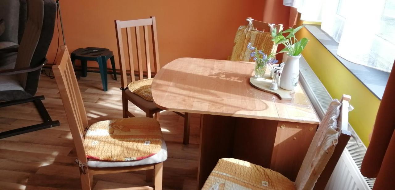 Plne Vybaveny 2+1Byt S Balkonem A Koji Pro Kola A Lyze. Rokytnice v Orlických Horách Exteriör bild