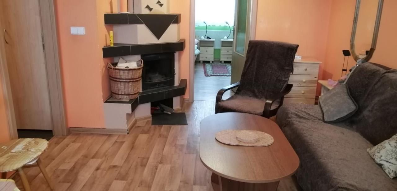 Plne Vybaveny 2+1Byt S Balkonem A Koji Pro Kola A Lyze. Rokytnice v Orlických Horách Exteriör bild