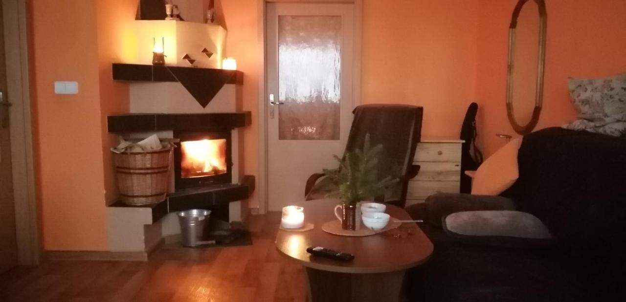 Plne Vybaveny 2+1Byt S Balkonem A Koji Pro Kola A Lyze. Rokytnice v Orlických Horách Exteriör bild